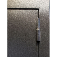 Входная дверь Выбор М2