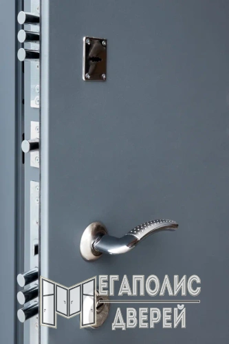 Входная дверь Выбор 1