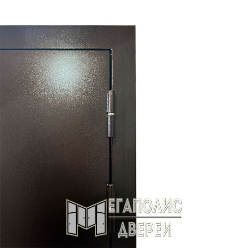 Входная дверь X-Doors 1
