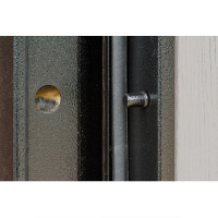 Входная дверь Выбор 4 Уют