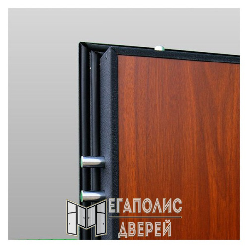 Входная дверь Стальной стандарт S2 Муар