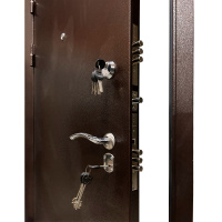Входная дверь X-Doors 7