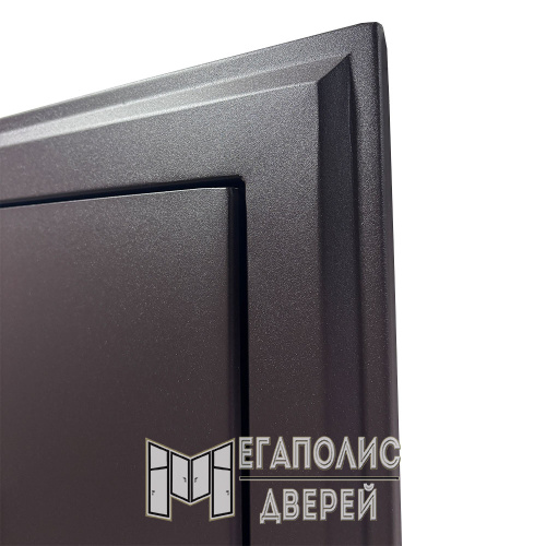Входная дверь Броня Винсон 8019 с терморазрывом