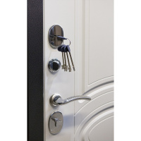 Входная дверь Выбор М2