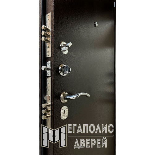 Входная дверь X-Doors 7