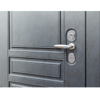 Входная дверь Выбор 8 New