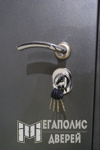 Входная дверь Стальной стандарт S10 Антрацит