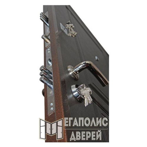 Входная дверь Броня X1