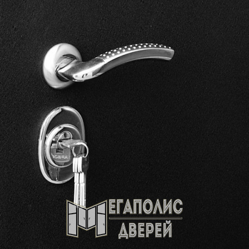 Входная дверь Стальной стандарт S10 Черная шагрень