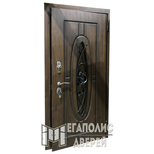 Входная дверь Броня Мона