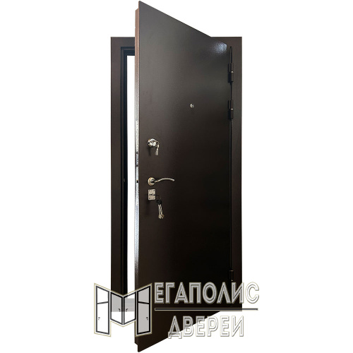 Входная дверь X-Doors 1