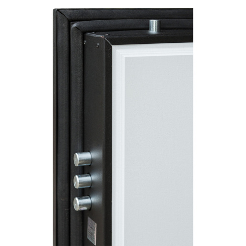 Входная дверь Выбор 12 Максимум Зеркало