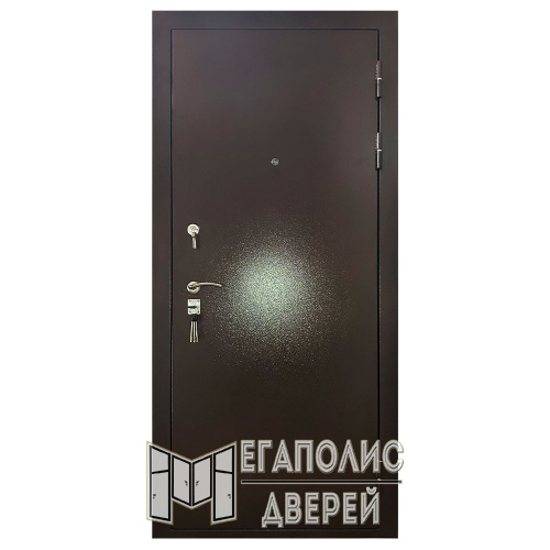 Входная дверь X-Doors 1