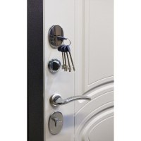 Входная дверь Выбор 4 Уют