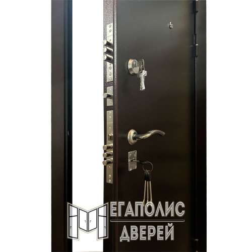 Входная дверь X-Doors 1