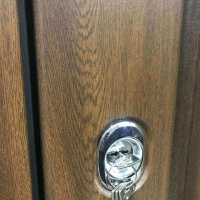 Входная дверь Броня Мона