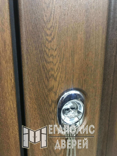 Входная дверь Броня Мона