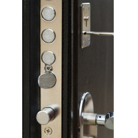 Входная дверь Выбор 9 Люкс