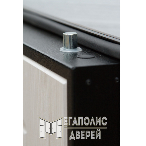 Входная дверь Выбор 4 Уют